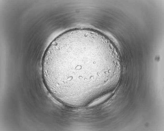 X0000093771287200711131203