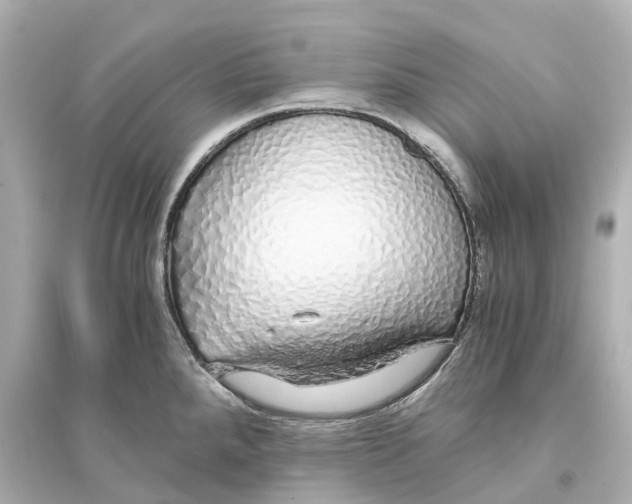 X0000093771288200711131203