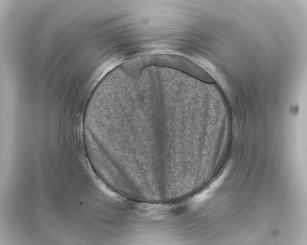 X0000093771289200711131203