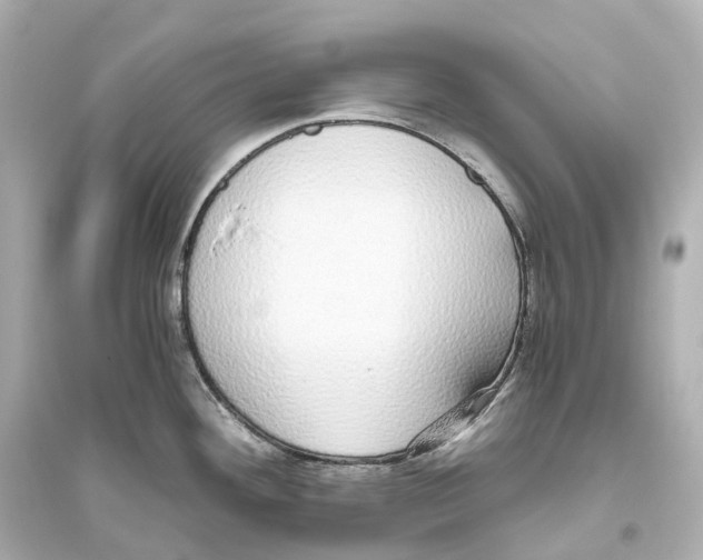 X0000093771292200711131203