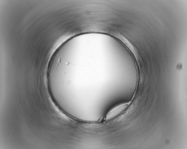 X0000093771293200711131203