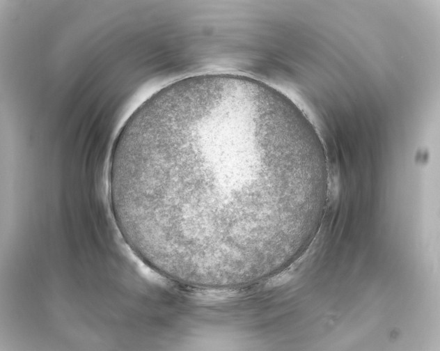 X0000093771294200711131203