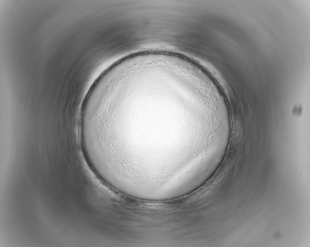 X0000093771295200711131203