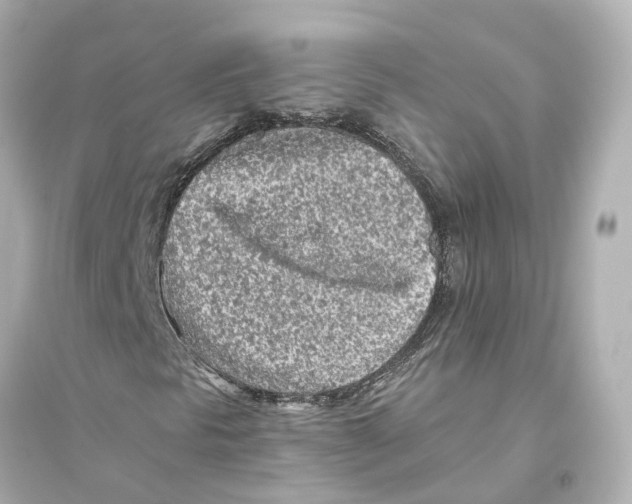 X0000093771297200711131202