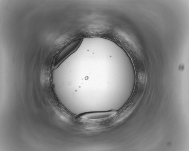 X0000093771300200711131202