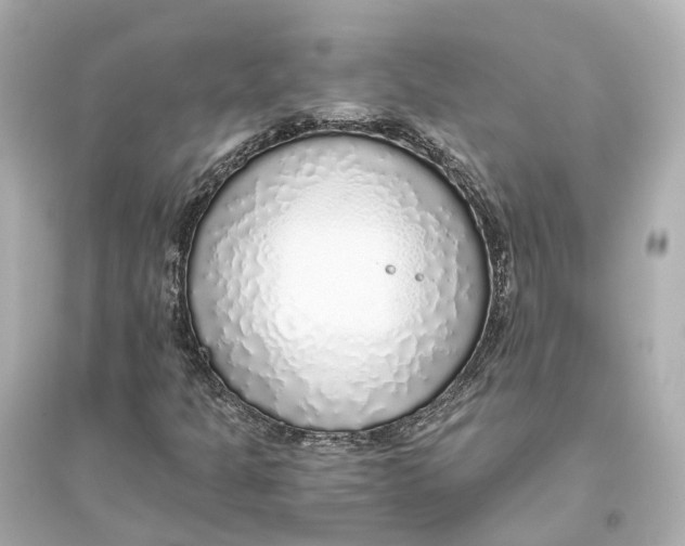 X0000093771301200711131202