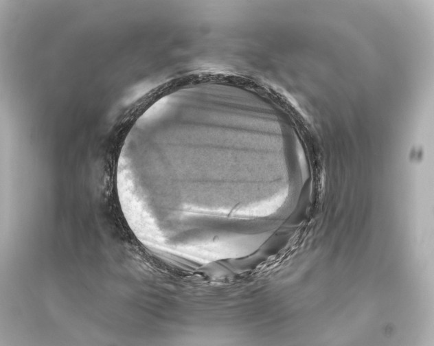 X0000093771303200711131202