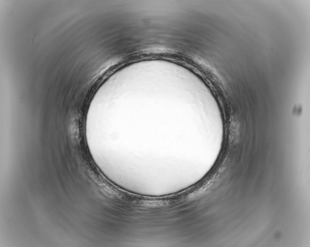 X0000093771305200711131202