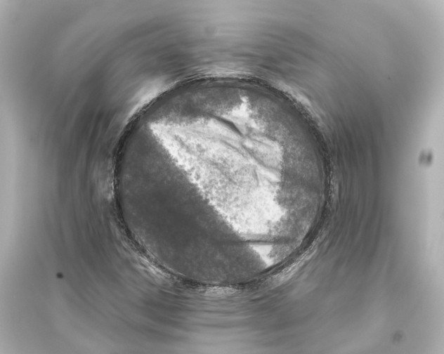 X0000093771306200711131202