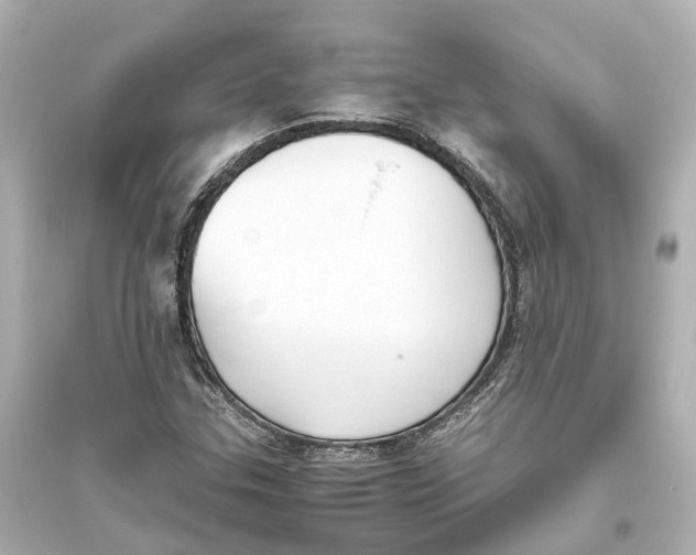 X0000093771307200711131202