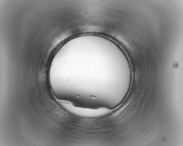 X0000093771309200711131202