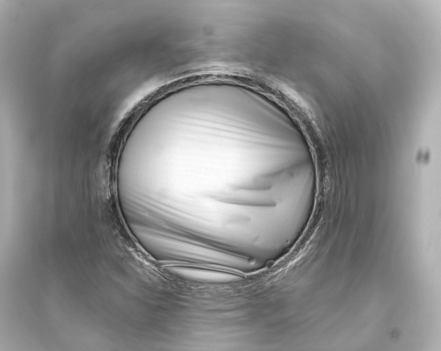 X0000093771310200711131202