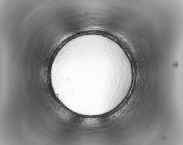 X0000093771313200711131202