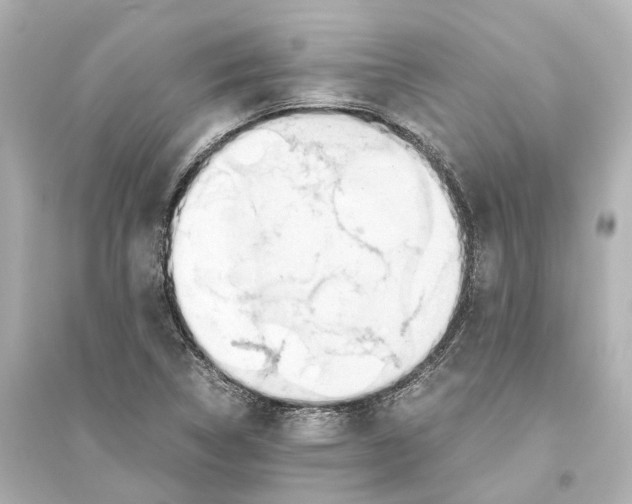 X0000093771314200711131202