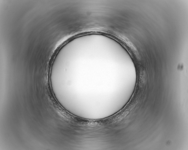 X0000093771316200711131202