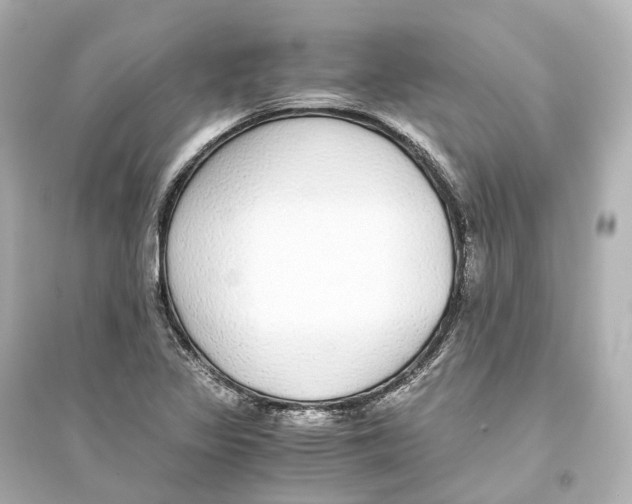 X0000093771317200711131202