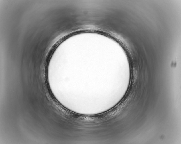 X0000093771318200711131202