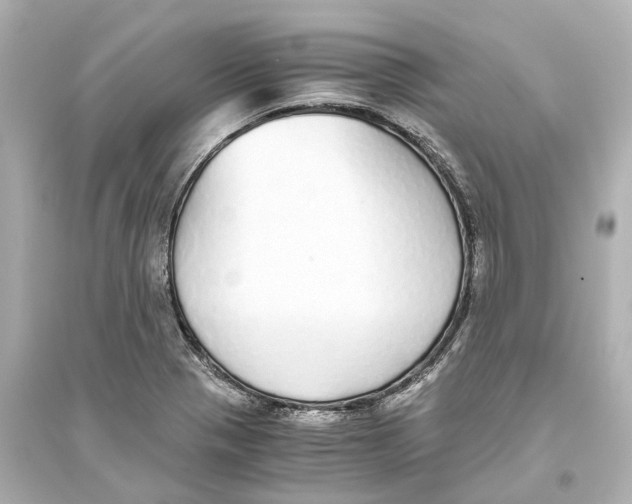 X0000093771321200711131202