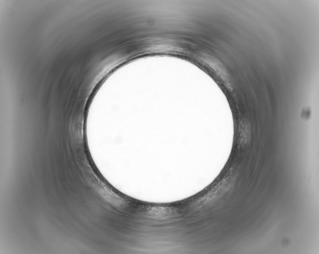 X0000093771322200711131203