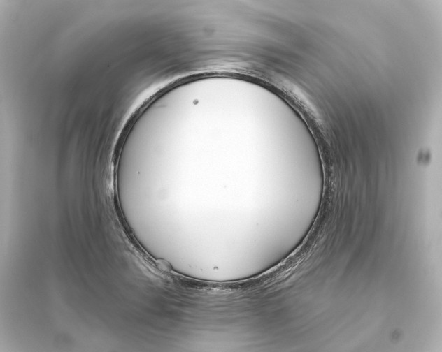 X0000093771324200711131203