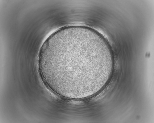 X0000093771325200711131203