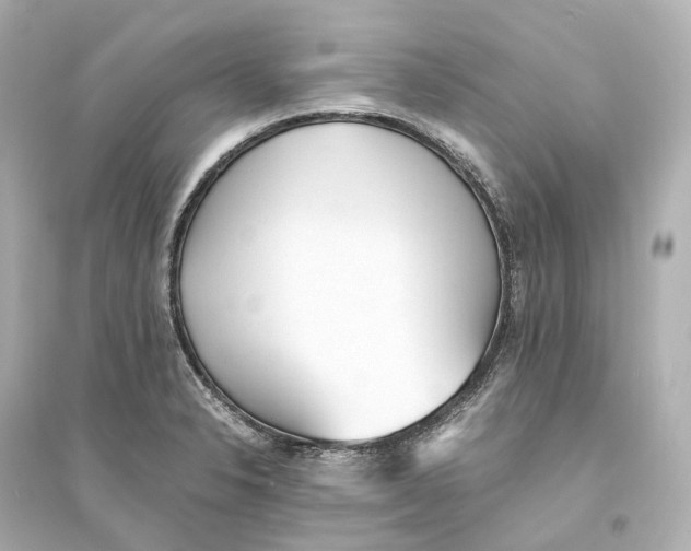 X0000093771326200711131203