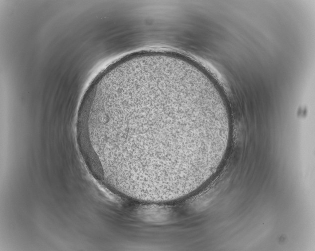 X0000093771327200711131203