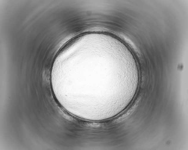 X0000093771329200711131203