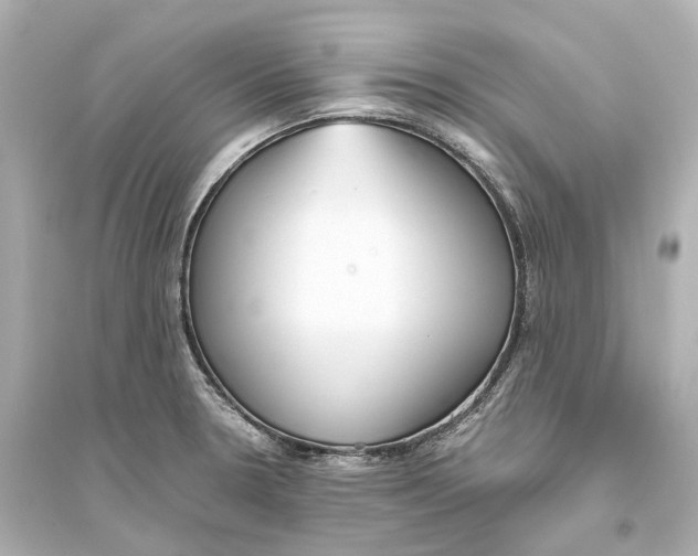 X0000093771330200711131203