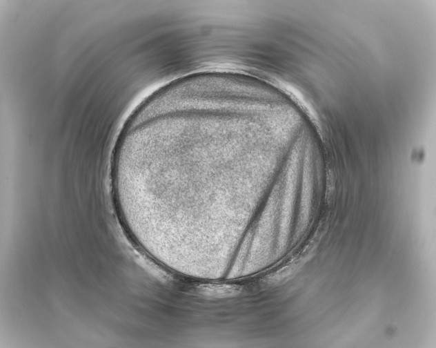 X0000093771331200711131203