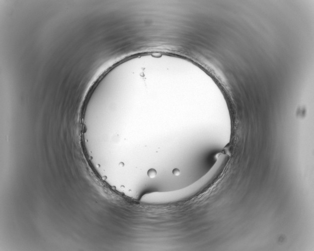 X0000093771332200711131203