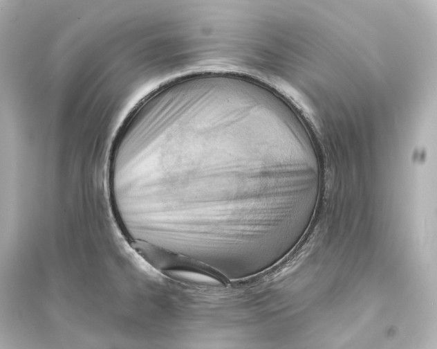 X0000093771334200711131203