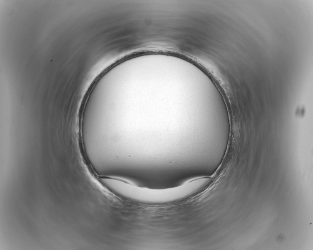 X0000093771335200711131203