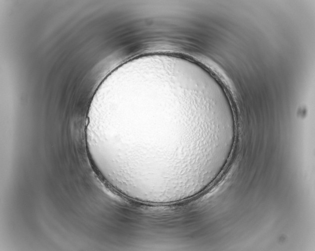 X0000093771337200711131203