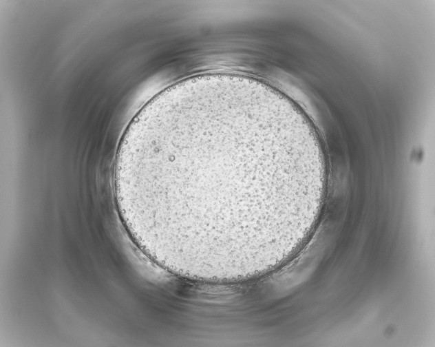 X0000093771338200711131203