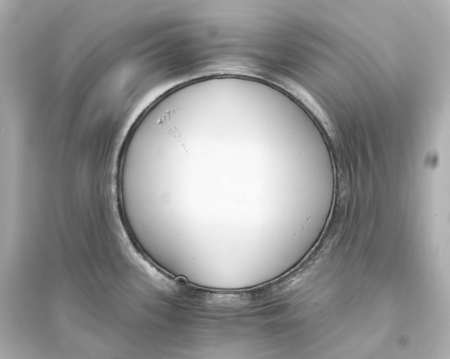 X0000093771339200711131203