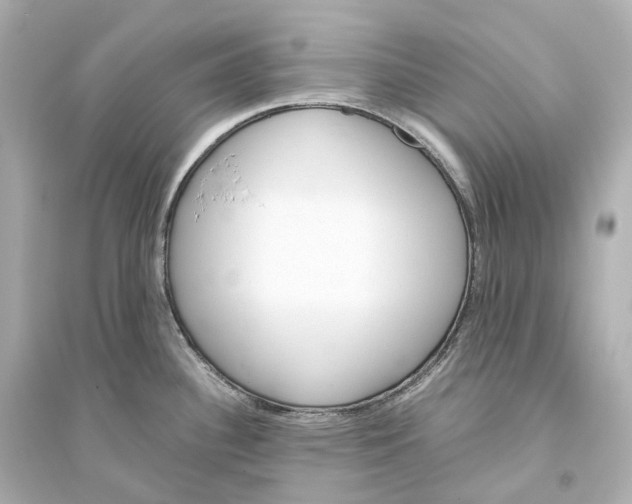 X0000093771340200711131203