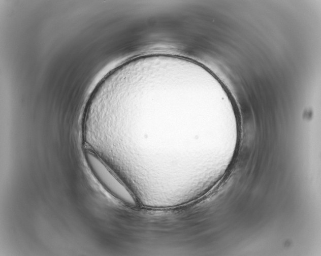 X0000093771341200711131203