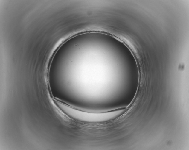 X0000093771342200711131203