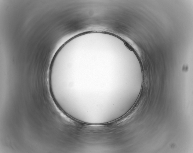 X0000093771343200711131203