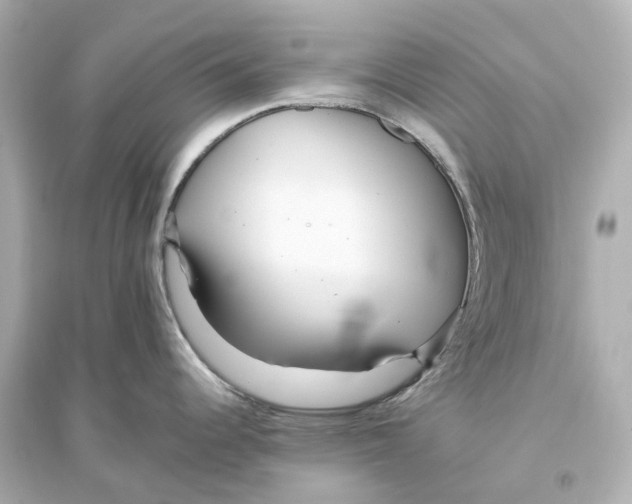 X0000093771344200711131203