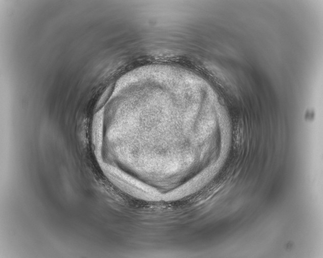 X0000093771346200711131202