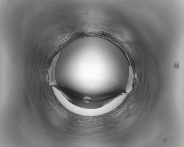 X0000093771348200711131202