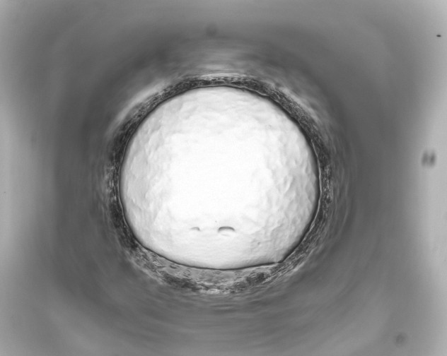 X0000093771351200711131202