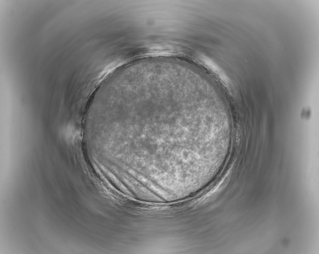 X0000093771353200711131202