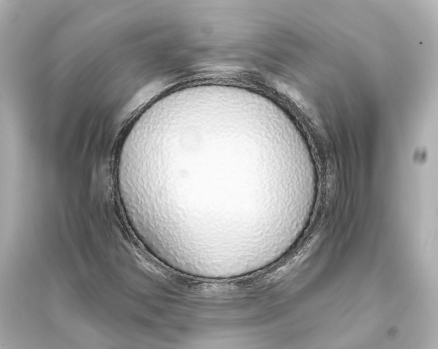 X0000093771354200711131202