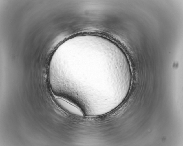 X0000093771355200711131202