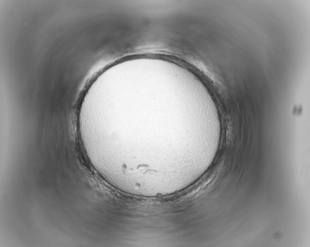 X0000093771358200711131202