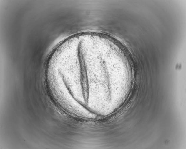 X0000093771359200711131202