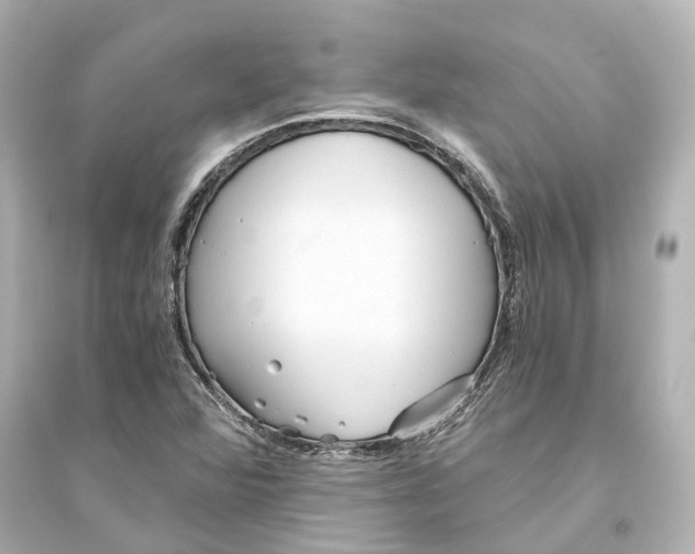 X0000093771360200711131202